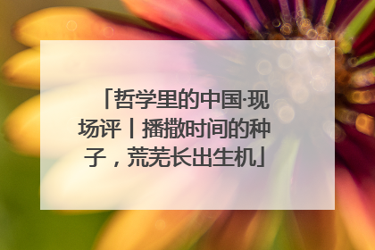 哲学里的中国·现场评丨播撒时间的种子，荒芜长出生机
