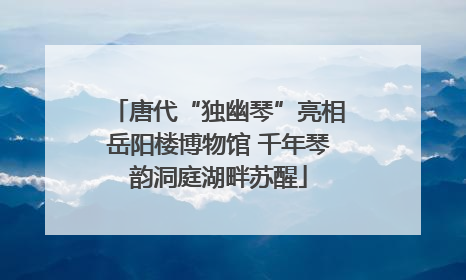 唐代“独幽琴”亮相岳阳楼博物馆 千年琴韵洞庭湖畔苏醒