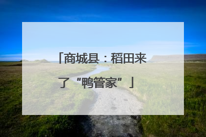 商城县：稻田来了“鸭管家”