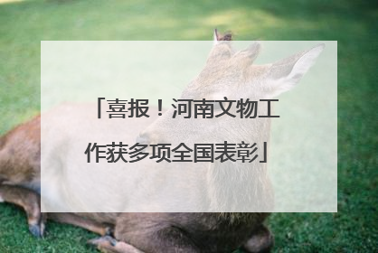 喜报！河南文物工作获多项全国表彰