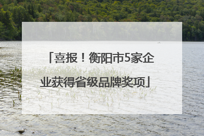 喜报！衡阳市5家企业获得省级品牌奖项