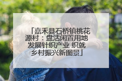 嘉禾县石桥镇桃花源村：盘活闲置用地发展针织产业 织就乡村振兴新图景