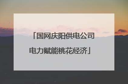 国网庆阳供电公司电力赋能桃花经济