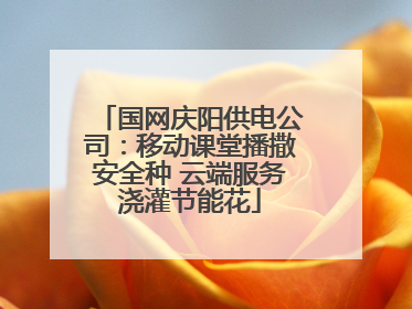 国网庆阳供电公司：移动课堂播撒安全种 云端服务浇灌节能花