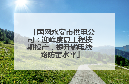 国网永安市供电公司：迎峰度夏工程按期投产，提升输电线路防雷水平