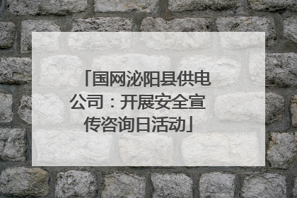 国网泌阳县供电公司：开展安全宣传咨询日活动