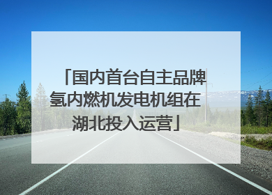 国内首台自主品牌氢内燃机发电机组在湖北投入运营