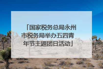 国家税务总局永州市税务局举办五四青年节主题团日活动