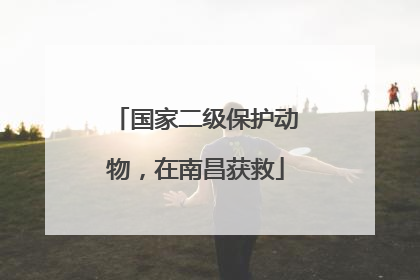 国家二级保护动物，在南昌获救