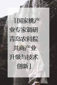 国家桃产业专家调研青岛农科院 共商产业升级与技术创新