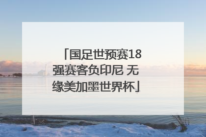国足世预赛18强赛客负印尼 无缘美加墨世界杯