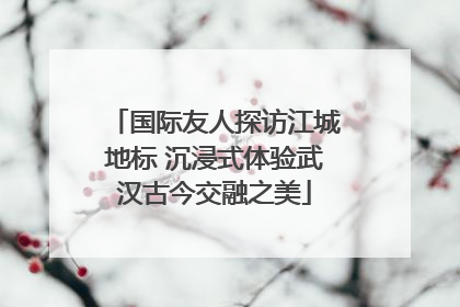 国际友人探访江城地标 沉浸式体验武汉古今交融之美