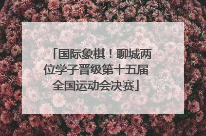 国际象棋！聊城两位学子晋级第十五届全国运动会决赛