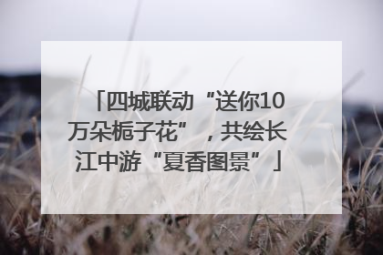 四城联动“送你10万朵栀子花”，共绘长江中游“夏香图景”
