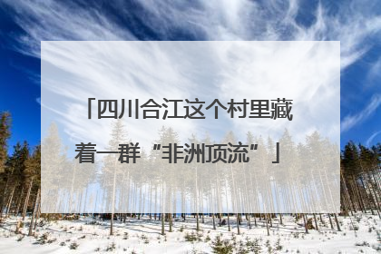 四川合江这个村里藏着一群“非洲顶流”