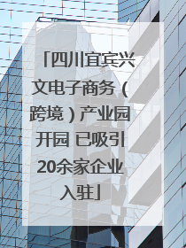 四川宜宾兴文电子商务（跨境）产业园开园 已吸引20余家企业入驻
