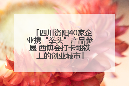 四川资阳40家企业携“拳头”产品参展 西博会打卡地铁上的创业城市