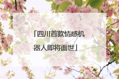 四川首款情感机器人即将面世