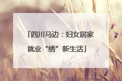 四川马边：妇女居家就业“绣”新生活