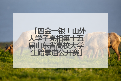 四金一银！山外大学子亮相第十五届山东省高校大学生跆拳道公开赛