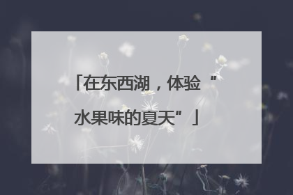 在东西湖，体验“水果味的夏天”