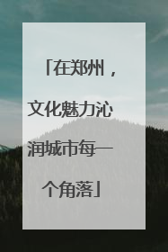 在郑州，文化魅力沁润城市每一个角落