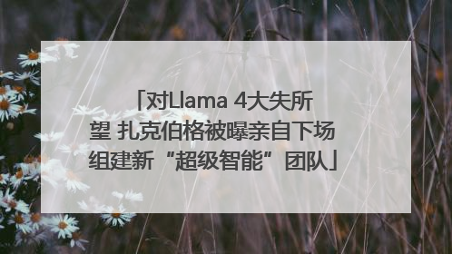 对Llama 4大失所望 扎克伯格被曝亲自下场组建新“超级智能”团队