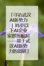 寻访武汉AI新势力︱35岁以下AI企业家群落崛起——基于武汉AI新势力的调研