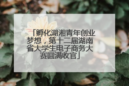 孵化湖湘青年创业梦想，第十二届湖南省大学生电子商务大赛圆满收官