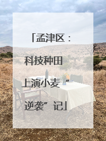 孟津区：科技种田 上演小麦“逆袭”记