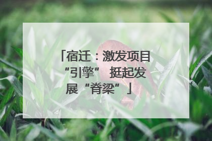 宿迁：激发项目“引擎” 挺起发展“脊梁”