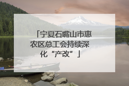 宁夏石嘴山市惠农区总工会持续深化“产改”