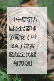 宁夏第八届农民篮球争霸赛（村BA）决赛掀起全民健身热潮