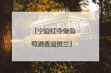 宁夏红寺堡葡萄酒香漫贺兰