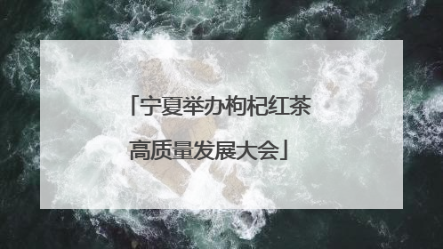 宁夏举办枸杞红茶高质量发展大会