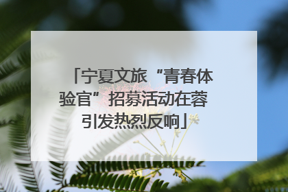 宁夏文旅“青春体验官”招募活动在蓉引发热烈反响