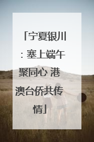 宁夏银川：塞上端午聚同心 港澳台侨共传情