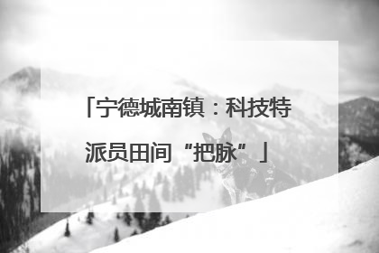 宁德城南镇：科技特派员田间“把脉”