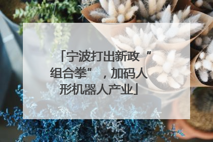宁波打出新政“组合拳”，加码人形机器人产业
