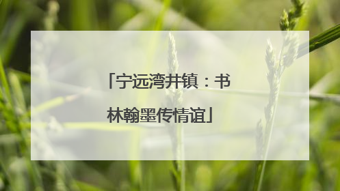 宁远湾井镇：书林翰墨传情谊