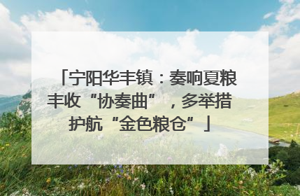 宁阳华丰镇：奏响夏粮丰收“协奏曲”，多举措护航“金色粮仓”