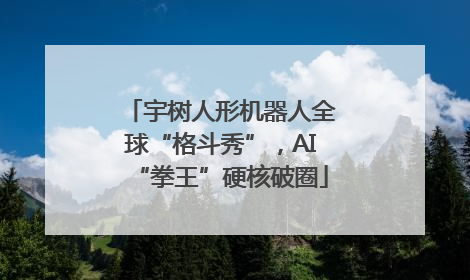 宇树人形机器人全球“格斗秀”，AI“拳王”硬核破圈