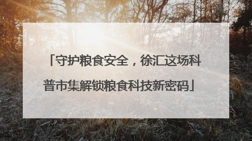 守护粮食安全，徐汇这场科普市集解锁粮食科技新密码