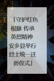守护红色根脉 传承英烈精神 安乡县举行烈士统一迁葬仪式