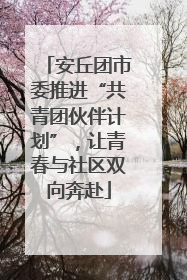 安丘团市委推进“共青团伙伴计划”，让青春与社区双向奔赴
