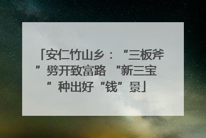 安仁竹山乡：“三板斧”劈开致富路 “新三宝”种出好“钱”景