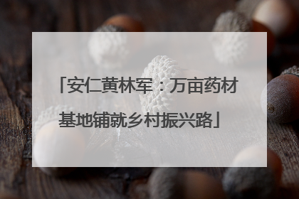 安仁黄林军：万亩药材基地铺就乡村振兴路