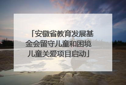 安徽省教育发展基金会留守儿童和困境儿童关爱项目启动