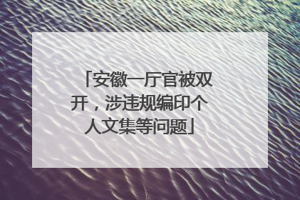 安徽一厅官被双开，涉违规编印个人文集等问题