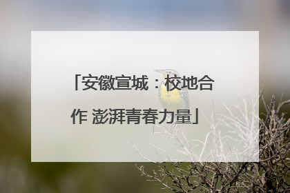 安徽宣城：校地合作 澎湃青春力量
